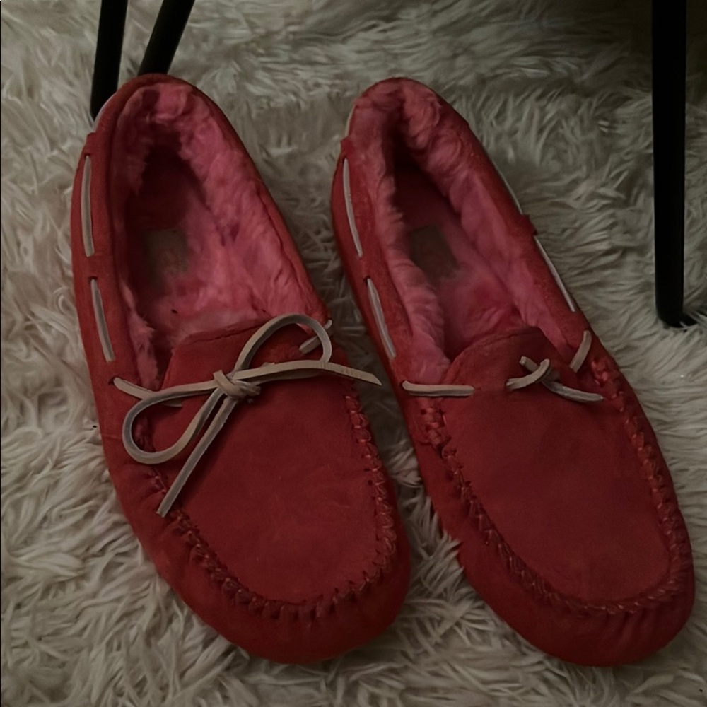 UGG slippers/houseshoe